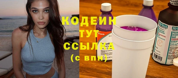 ПСИЛОЦИБИНОВЫЕ ГРИБЫ Гусь-Хрустальный