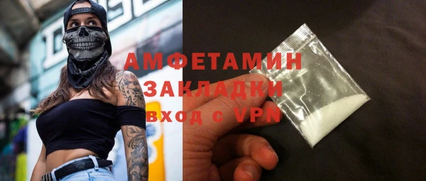 шишки Гусиноозёрск