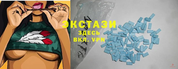шишки Гусиноозёрск