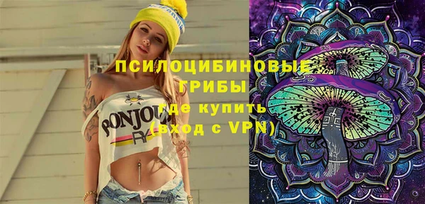 шишки Гусиноозёрск