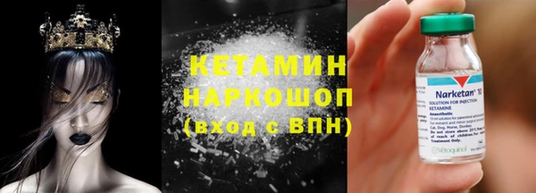 шишки Гусиноозёрск