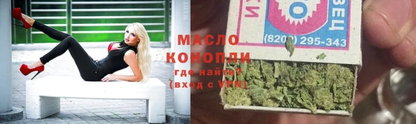 шишки Гусиноозёрск