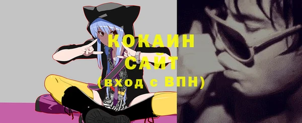 хмурый Гусев