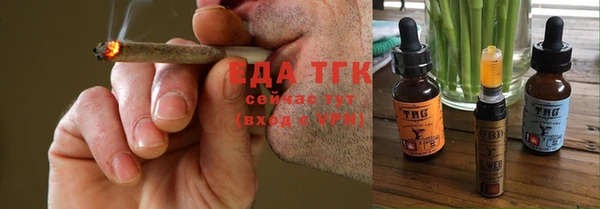 шишки Гусиноозёрск