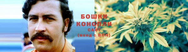 ПСИЛОЦИБИНОВЫЕ ГРИБЫ Гусь-Хрустальный