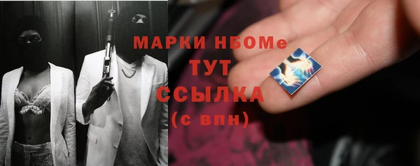 хмурый Гусев