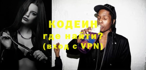 шишки Гусиноозёрск