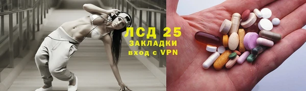 ПСИЛОЦИБИНОВЫЕ ГРИБЫ Гусь-Хрустальный