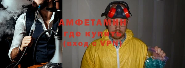 шишки Гусиноозёрск