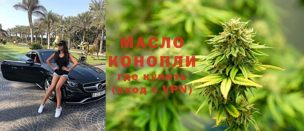 шишки Гусиноозёрск