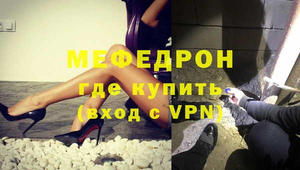 шишки Гусиноозёрск