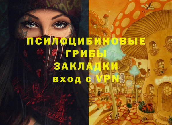 шишки Гусиноозёрск