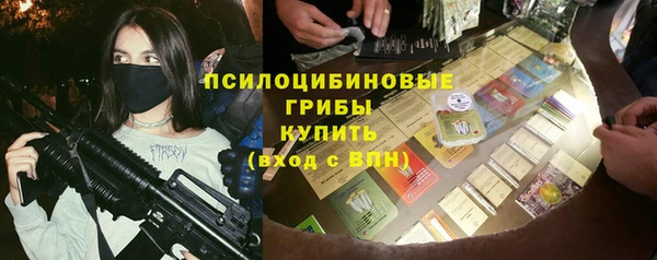 хмурый Гусев
