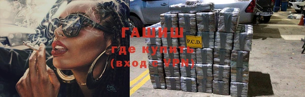 хмурый Гусев