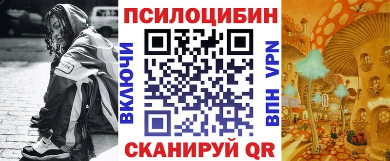Купить  Кизел  Галлюциногенные грибы прущие грибы 
